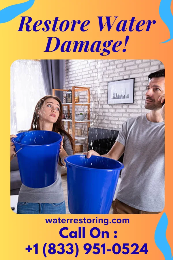 water restoration Capital Cleanup Force Hohenwald