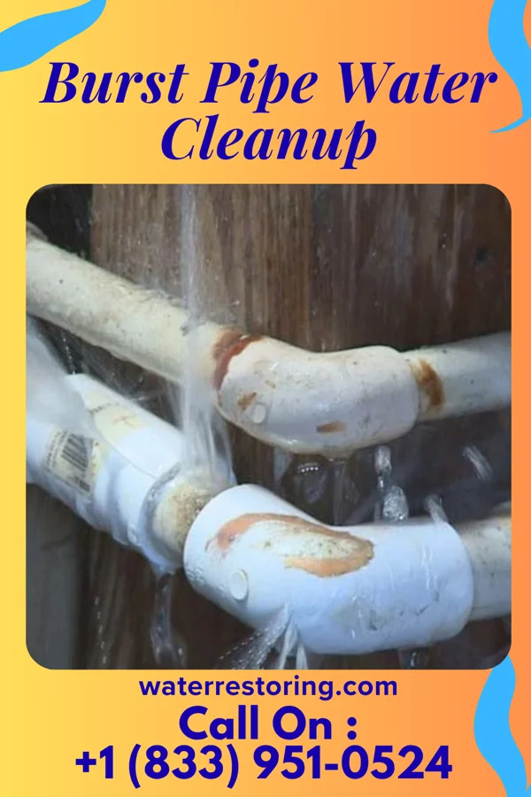 Burst Pipe Water Cleanup in Hohenwald, TN