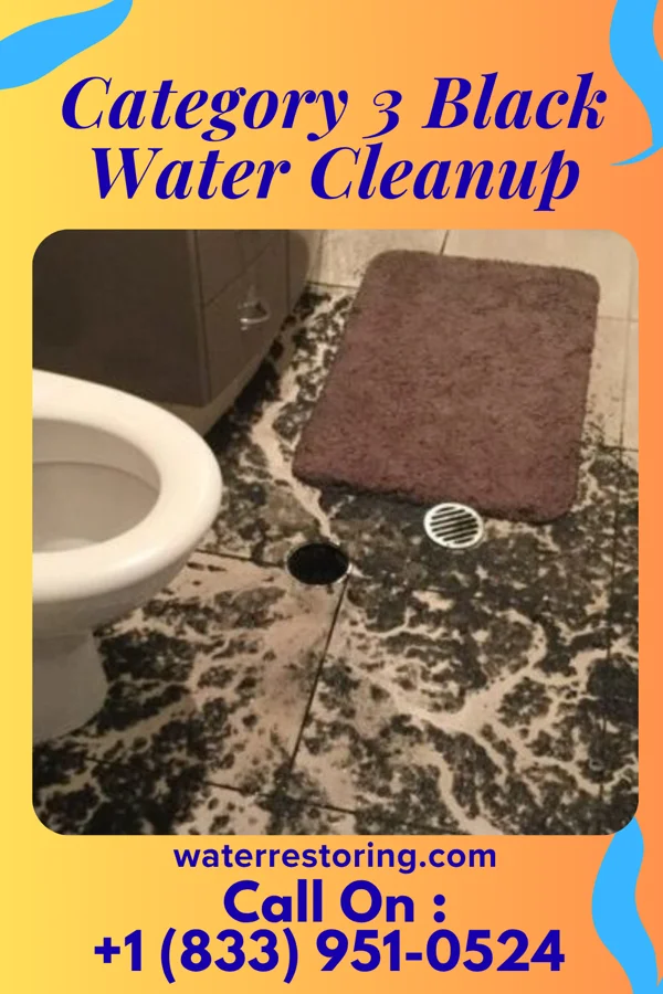 Category 3 Black Water Cleanup in Hohenwald, TN