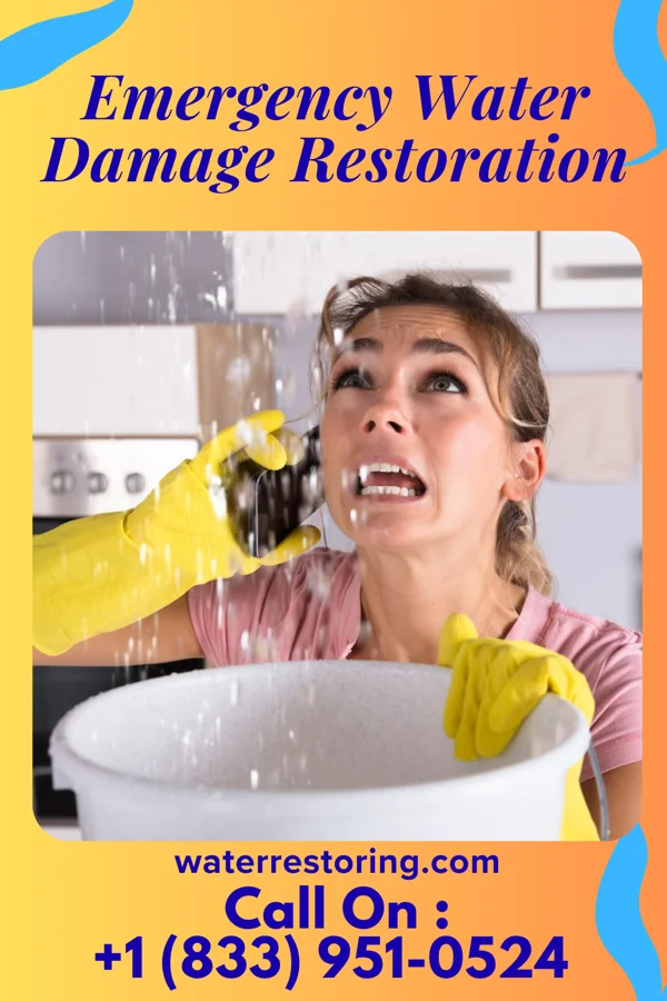 Emergency Water Damage Restoration in Hohenwald, TN