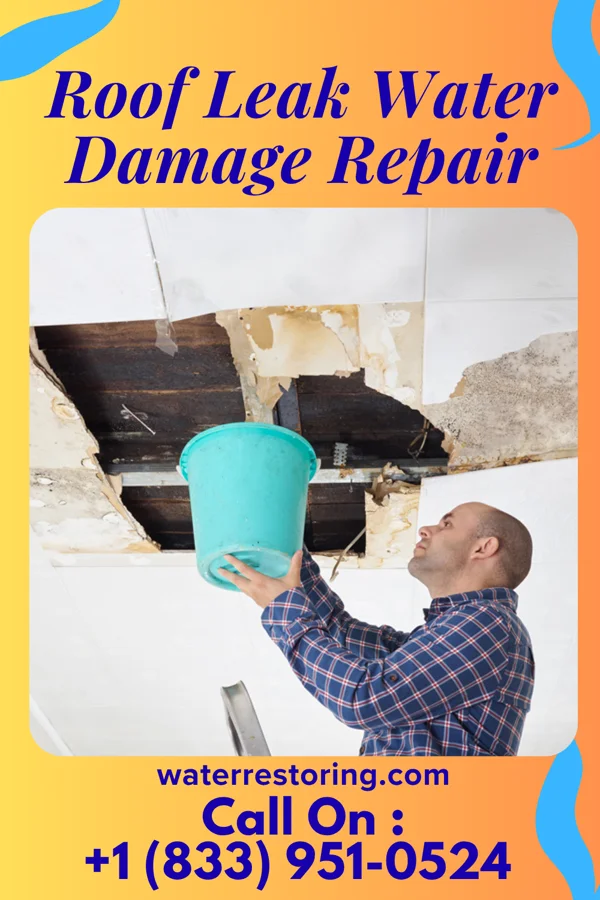 Roof Leak Water Damage Repair in Hohenwald, TN